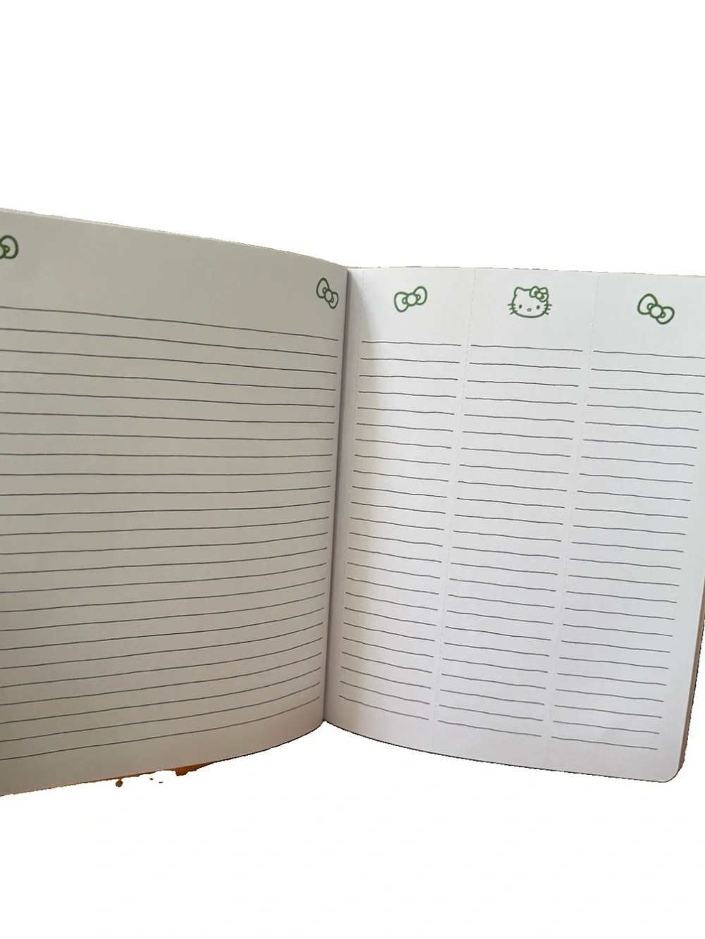 Sanrio Hello Kitty & Friends 17-month Aug 2026-Dec.2027 Slim Thin Planner 9.5x7.